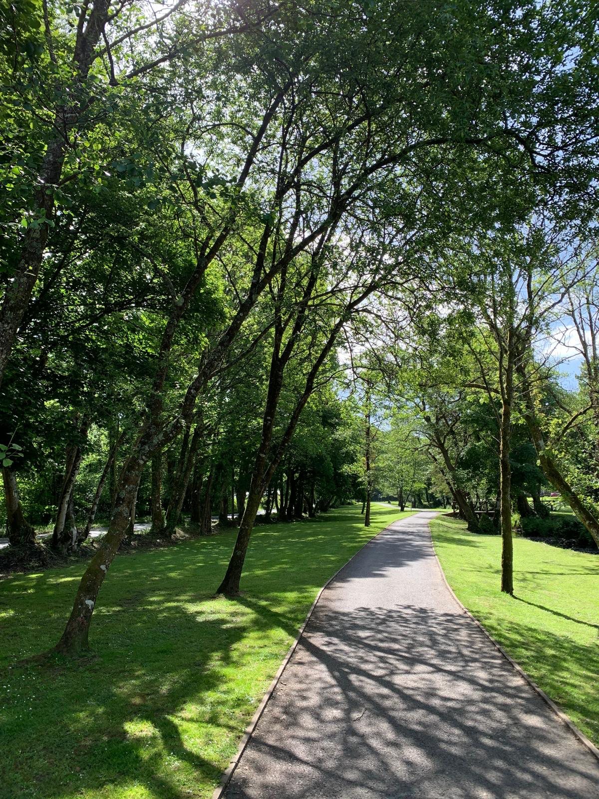 Tree-lined path through Heritage Park